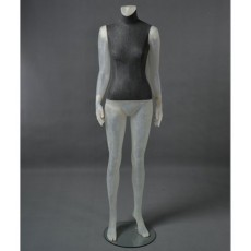 Woman mannequin cltd26 translucent headless