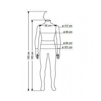 Male display mannequin 6030ncc