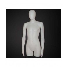 Display male bust h13