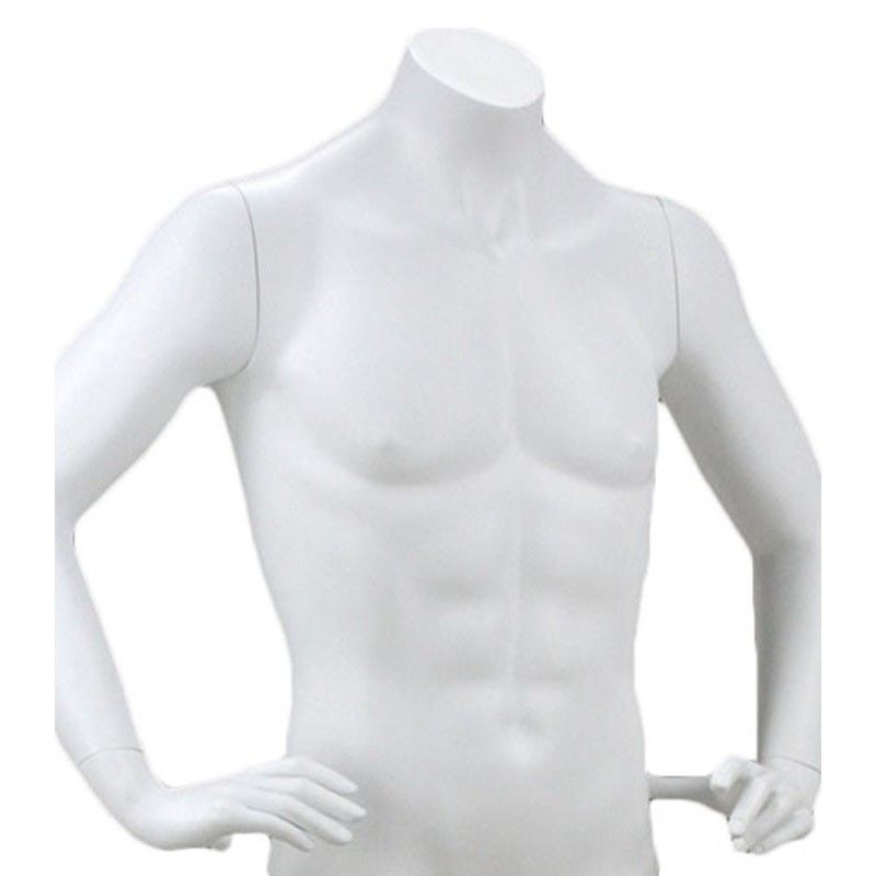 Mannequin buste homme y461