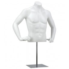 Man bust mannequin y421