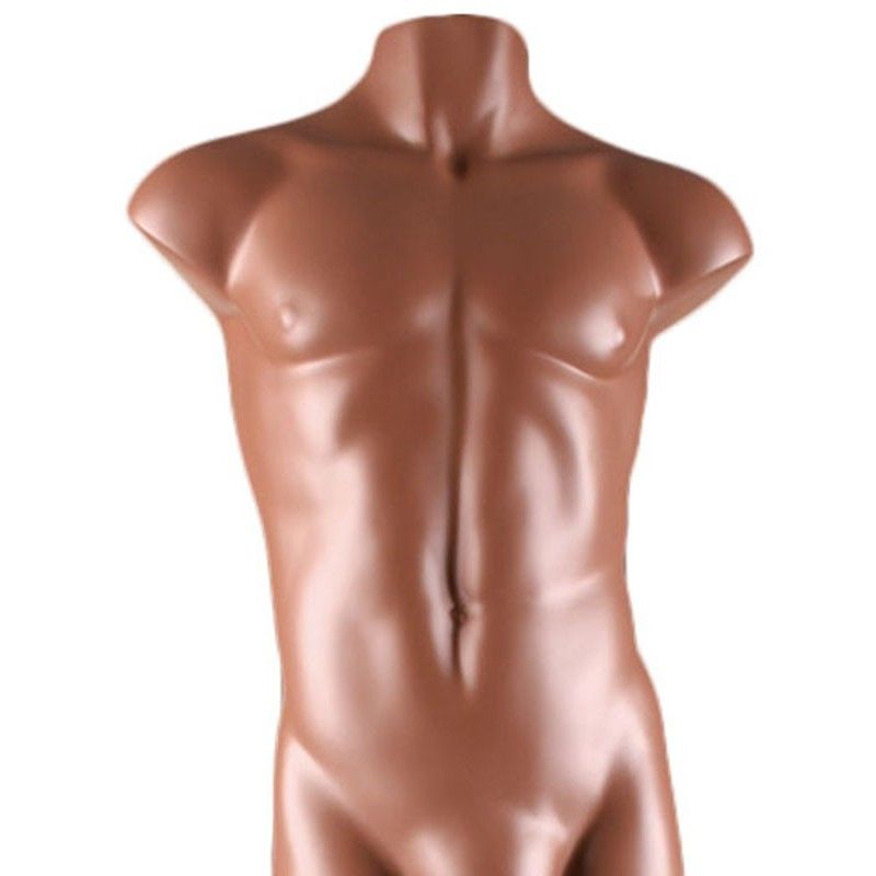 Man bust mannequin bust brown