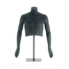 Torso