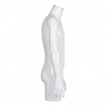 Torso maschile dritto