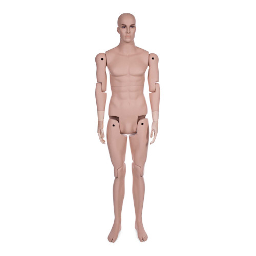 Realistic, articulated male mannequin