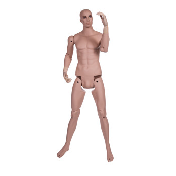 Realistic, articulated male mannequin